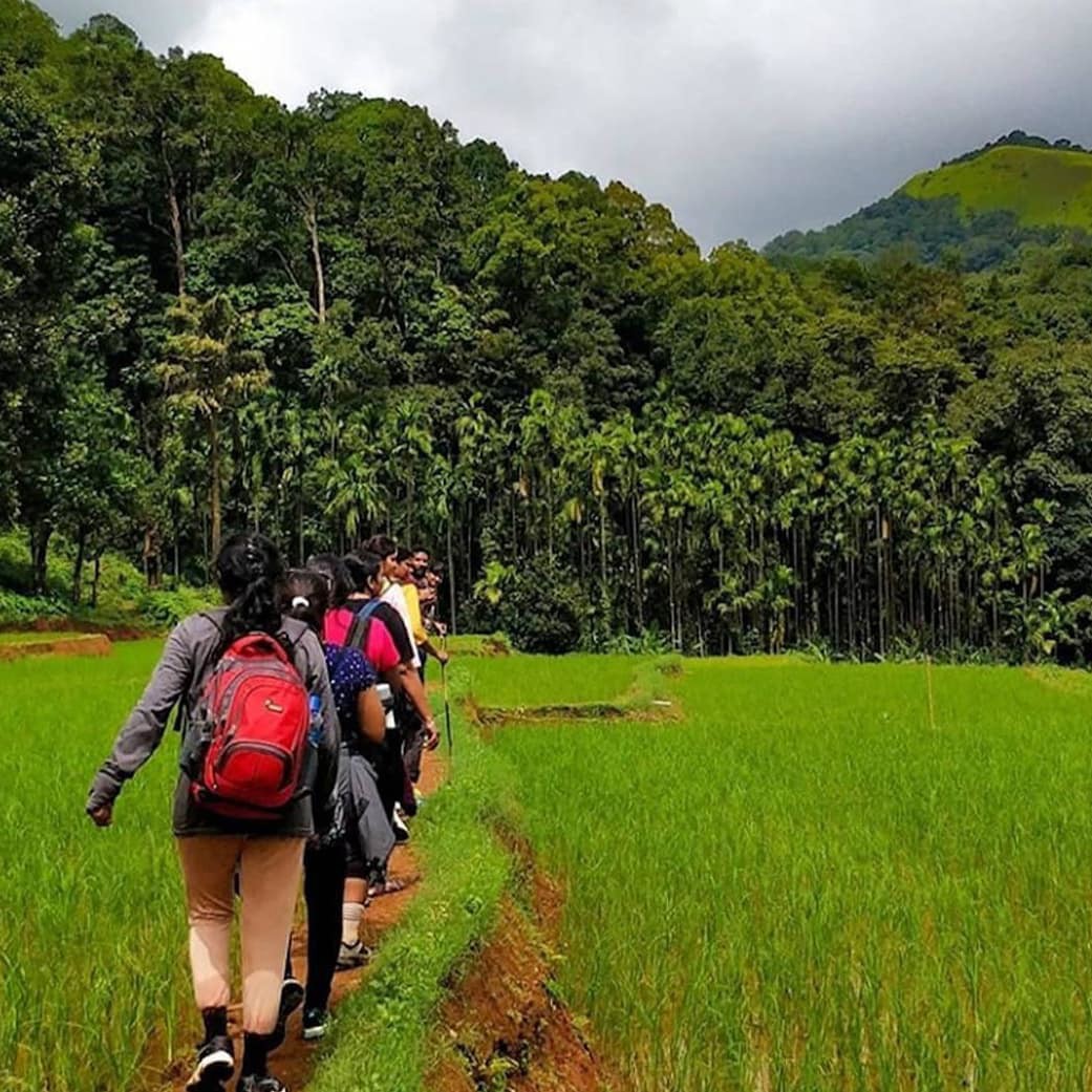 kodachadri trek