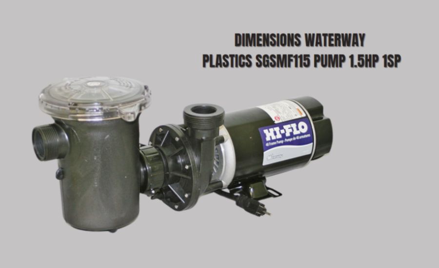 Before Purchasing the Waterway SGSMF115 Pump