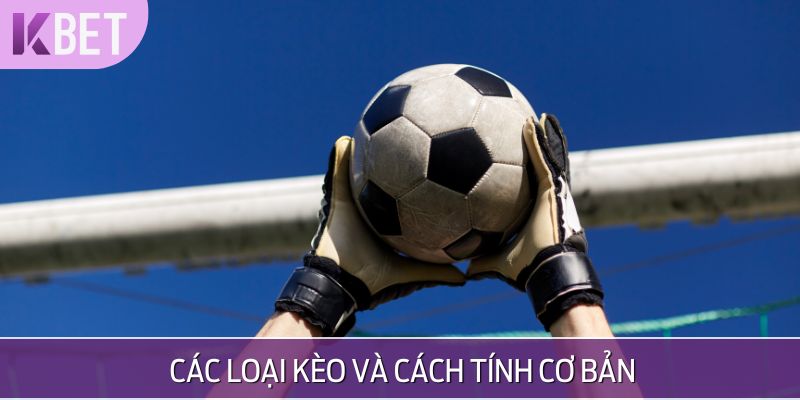 minh hoạ về các loại kèo và cách tính