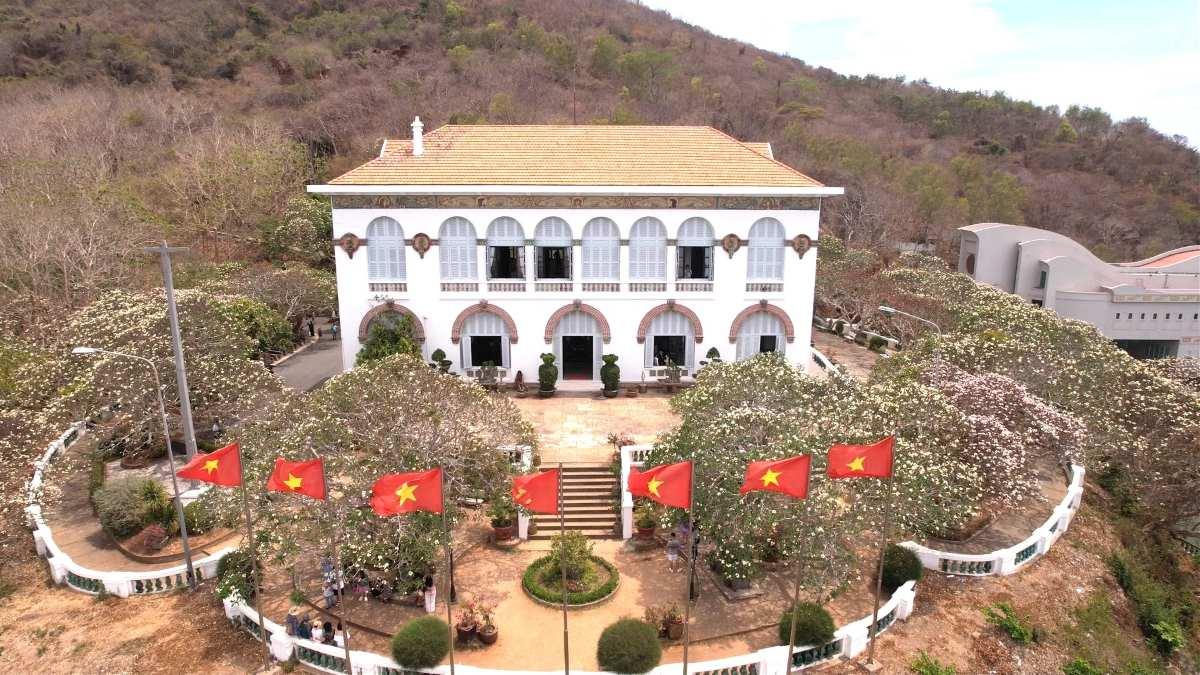 Mùa hoa sứ tỏa hương khoe sắc rực rỡ quanh Bạch Dinh ở Vũng Tàu
