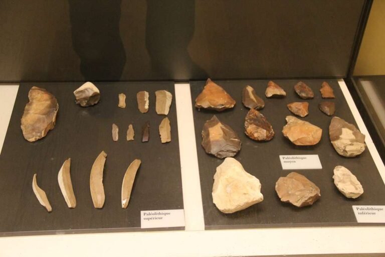 Paleolithic Tools and Technology