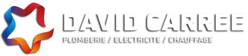 logo Entreprise David Carrée