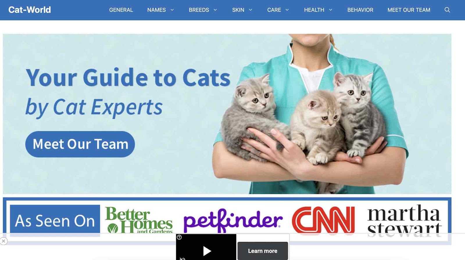 A screenshot of Cat World as a pet brand looking influencers 