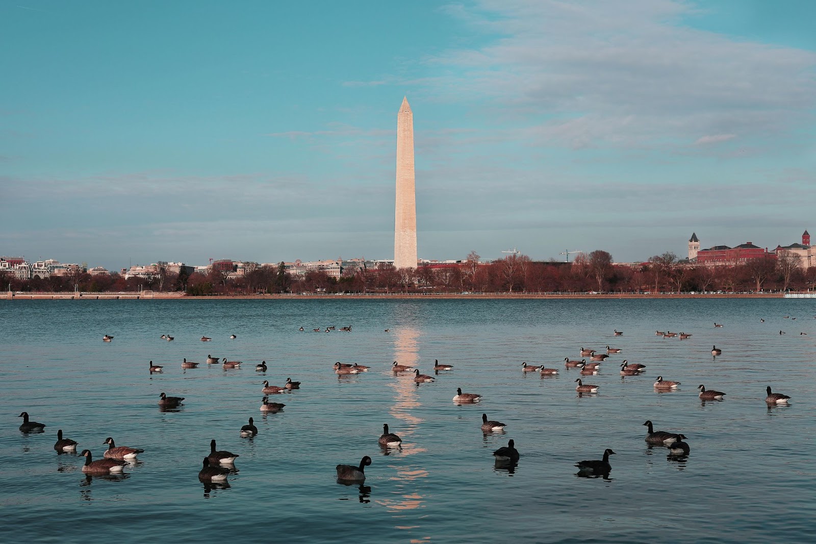 Arlington, VA