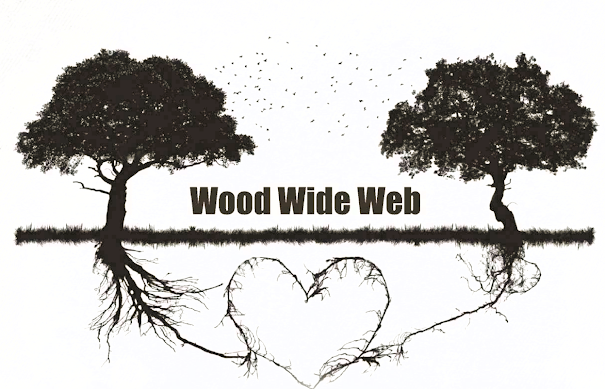 #WorldEnvironmentDay2025