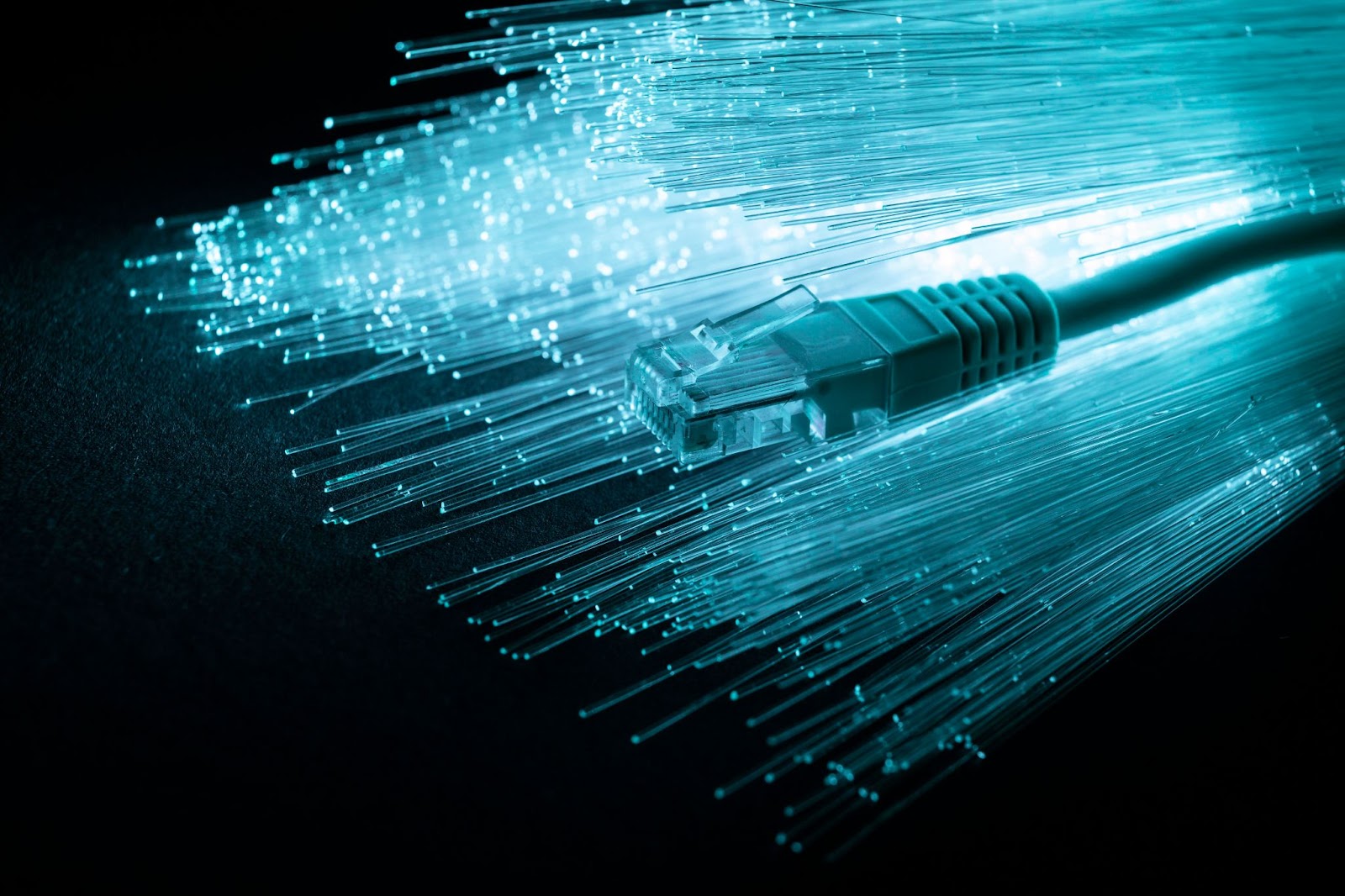 internet de fibra