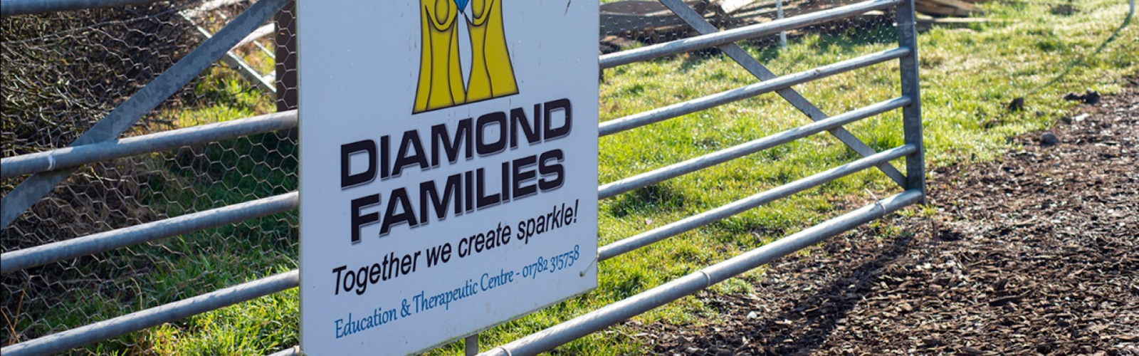 Diamond Families Banner