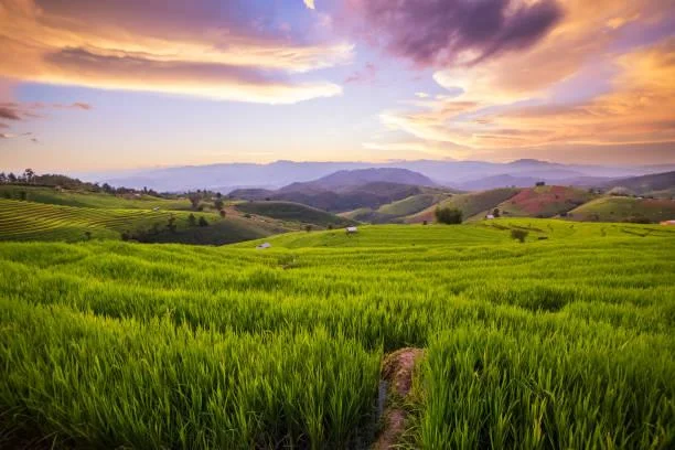 25 Photos That Celebrate the Wild, wild nature, untamed landscapes, nature, landscape, outdoor freedom, earth rawness