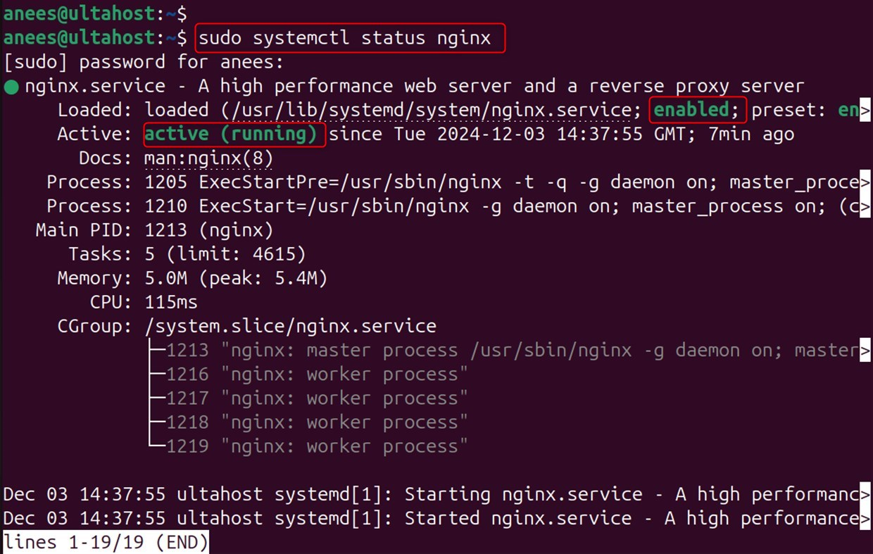 check nginx status