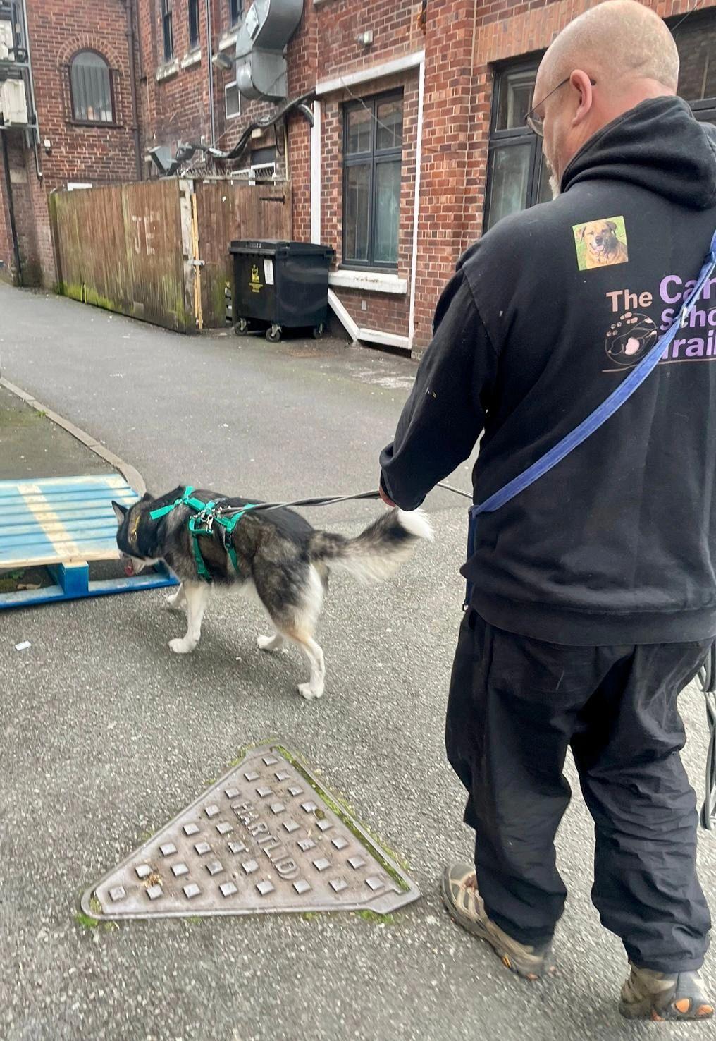 Aidy trailing with his dog, a husky
