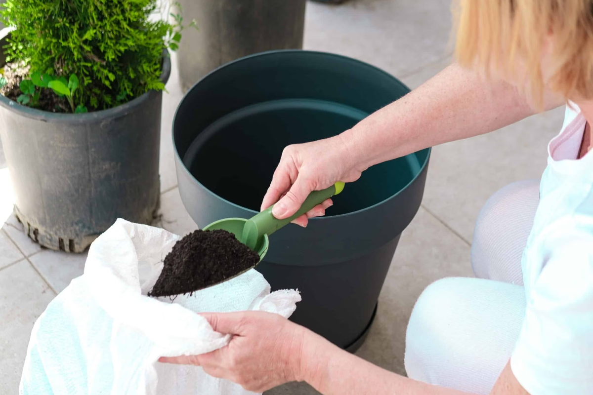 Potting Soil Refreshment