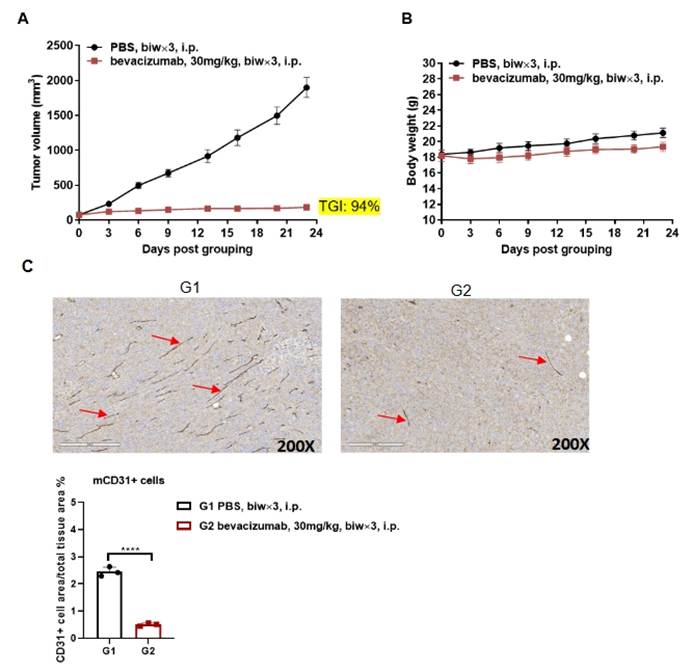 https://biocytogen2024.s3.us-east-2.amazonaws.com/web/product/image/110822/202412112008453868.png