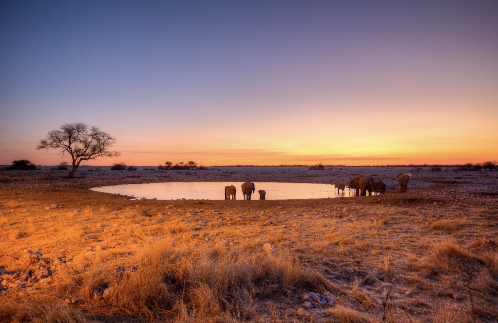 Etosha National Park 