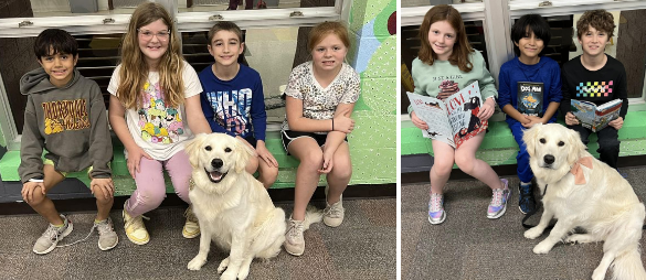 Students reading with Bella the dog 