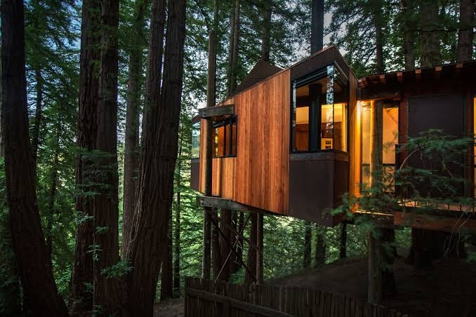 A cozy wooden tree house nestled among towering redwoods, illuminated warmly at dusk, offering a serene escape as one of the top secret stays in California.