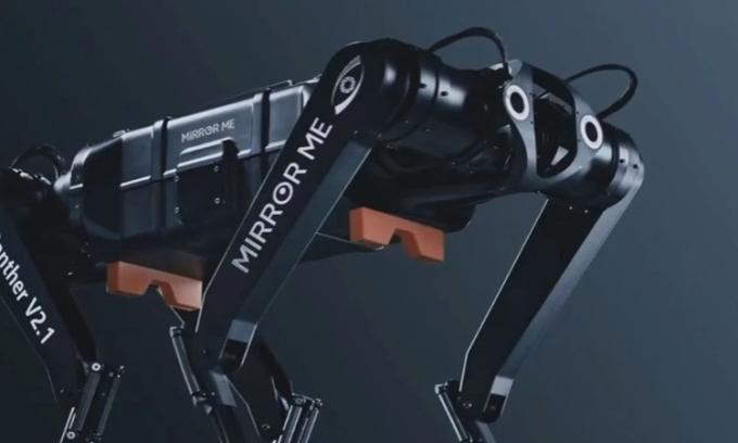 Robot chó Black Panther II của Mirror Me. Ảnh: Mirror Me