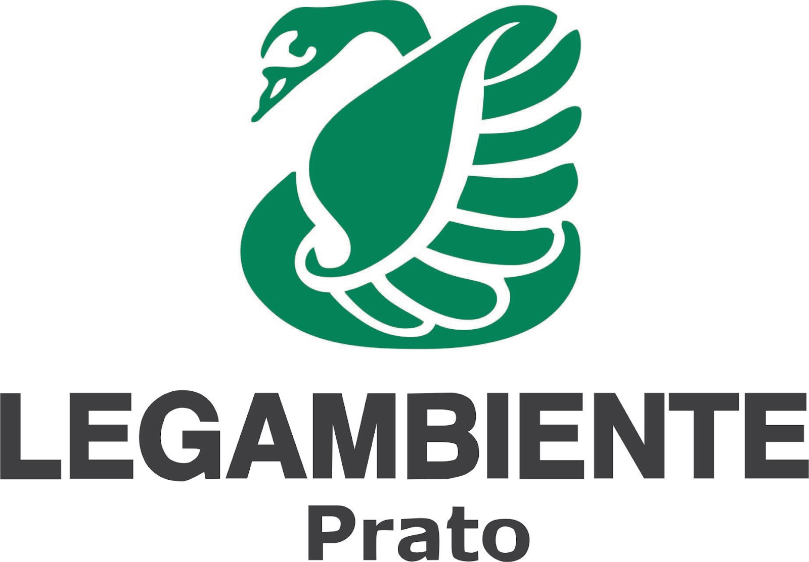 logo1.jpg