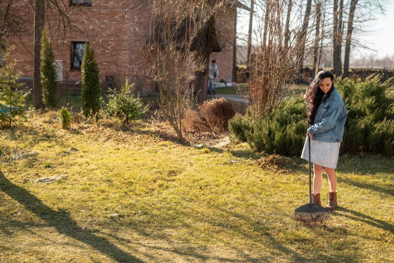 instant impact lawn, bare yard solutions