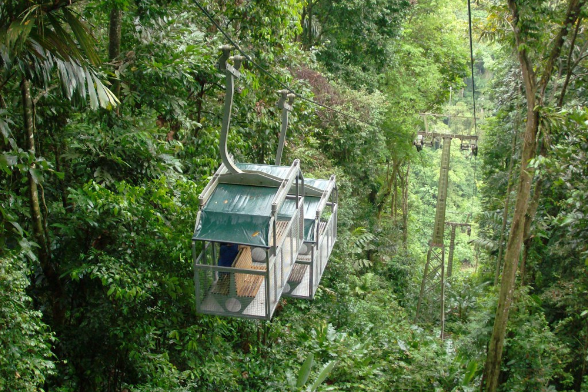  Tram ride in Veragua Rainforest
