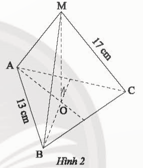 BÀI TẬP CUỐI CHƯƠNG 2 (2 tiết)