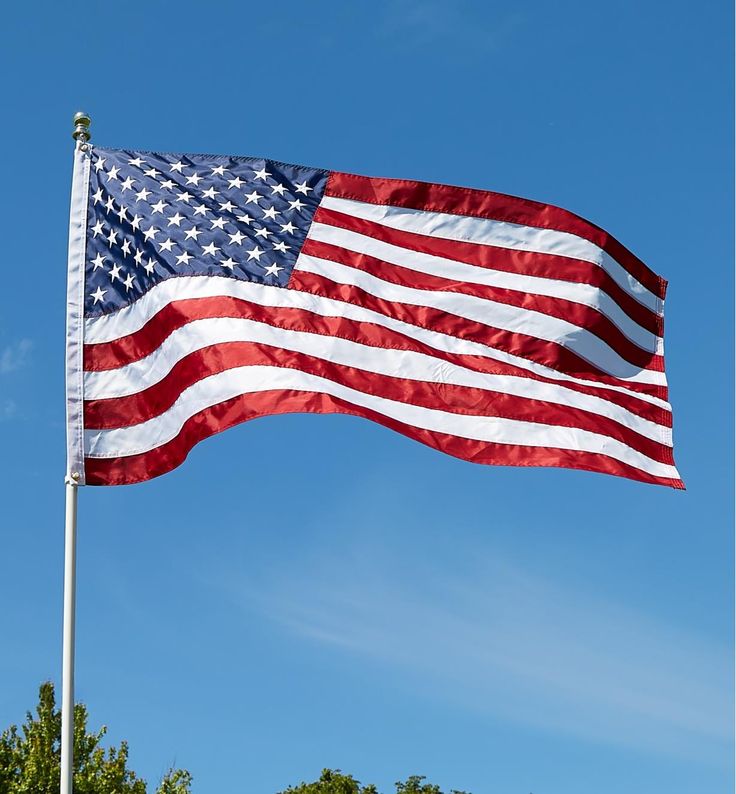 This contains an image of the us flag