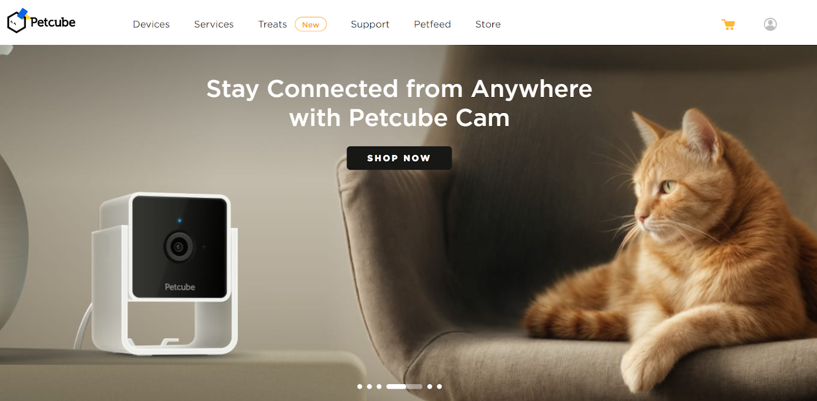 Petcube