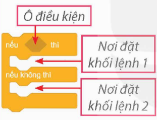 BÀI 13. CẤU TRÚC RẼ NHÁNH