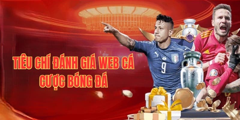 Những tiêu chí cần xem xét khi chọn một web cược bóng đá uy tín để trải nghiệm