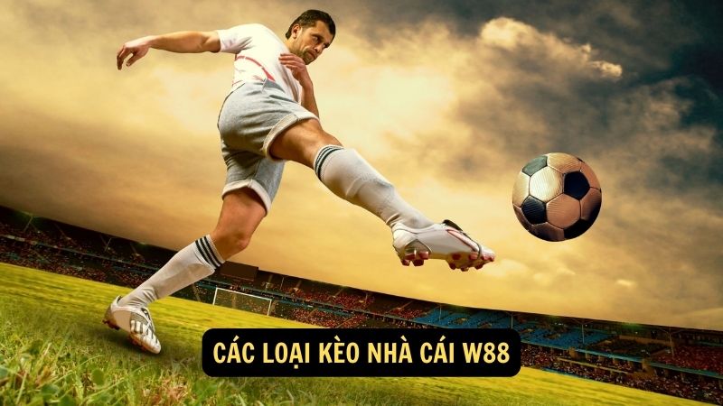 Các loại kèo nhà cái W88