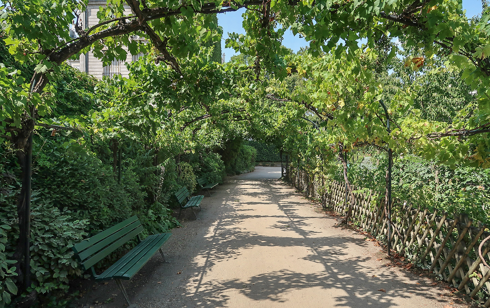 Hidden Gardens in Paris: Explore Secret Green Escapes | WeShare