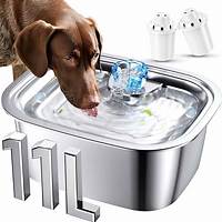 Pet Supplies : Dog Water Fountain, Stainless Steel Dog Water Fountain for Large Dogs Pet Water ...