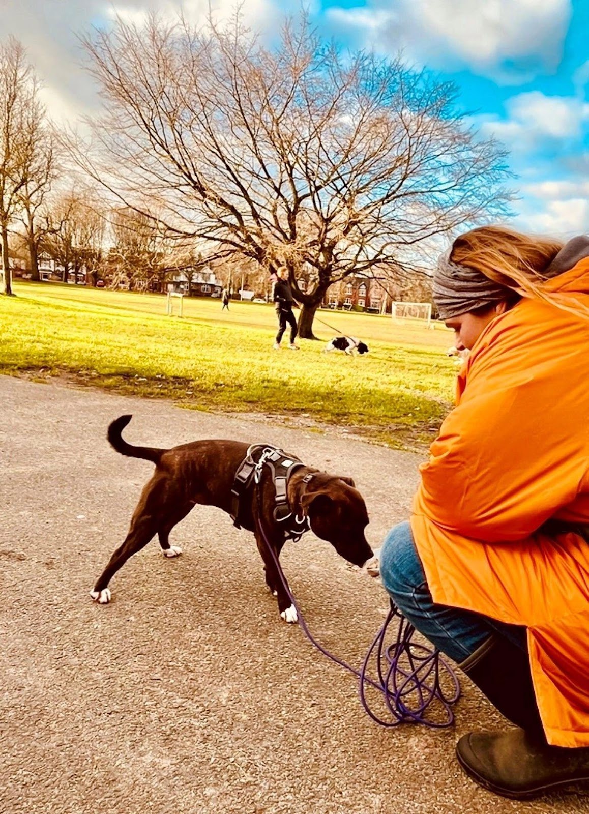 Marilyn with Scout her rescue Staffordshire Bull Terrier on a pet trail in Nantwich