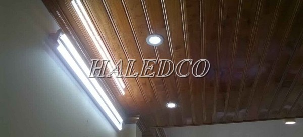 Đèn tuýp LED 2 bóng 20w hiệu suất phát quang đạt 100 - 130lm/w