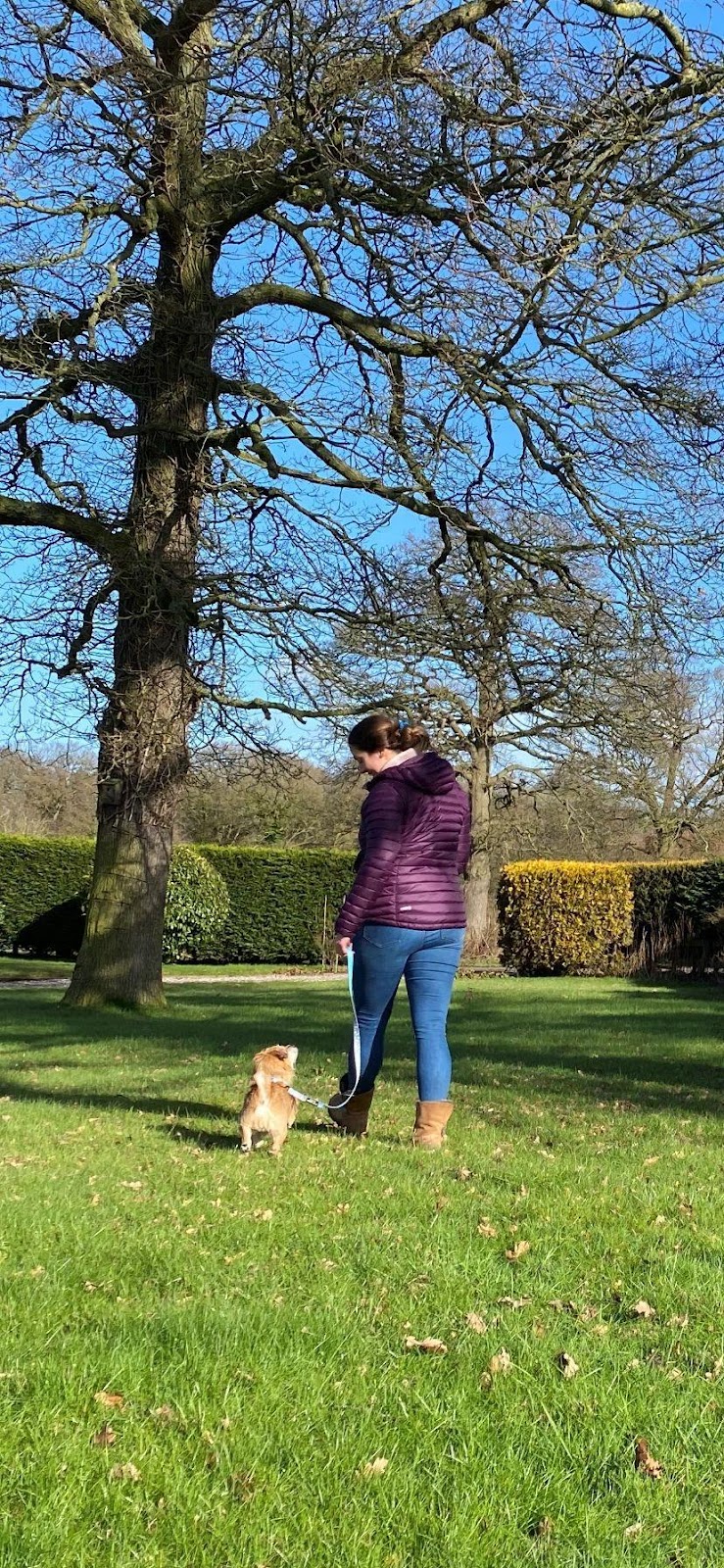 rachel rodgers owner of nose to trail walking her jack russell cross pug 