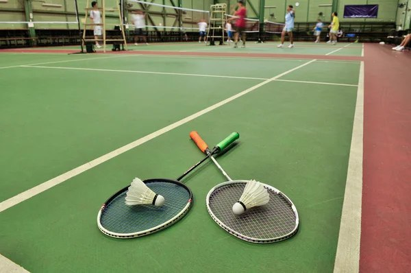 Raquettes et volants sur un court de badminton en salle