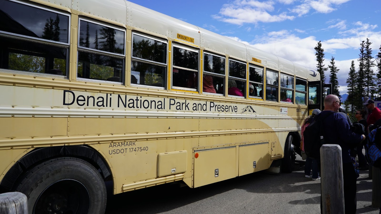 Getting Around and Exploring Denali National Park