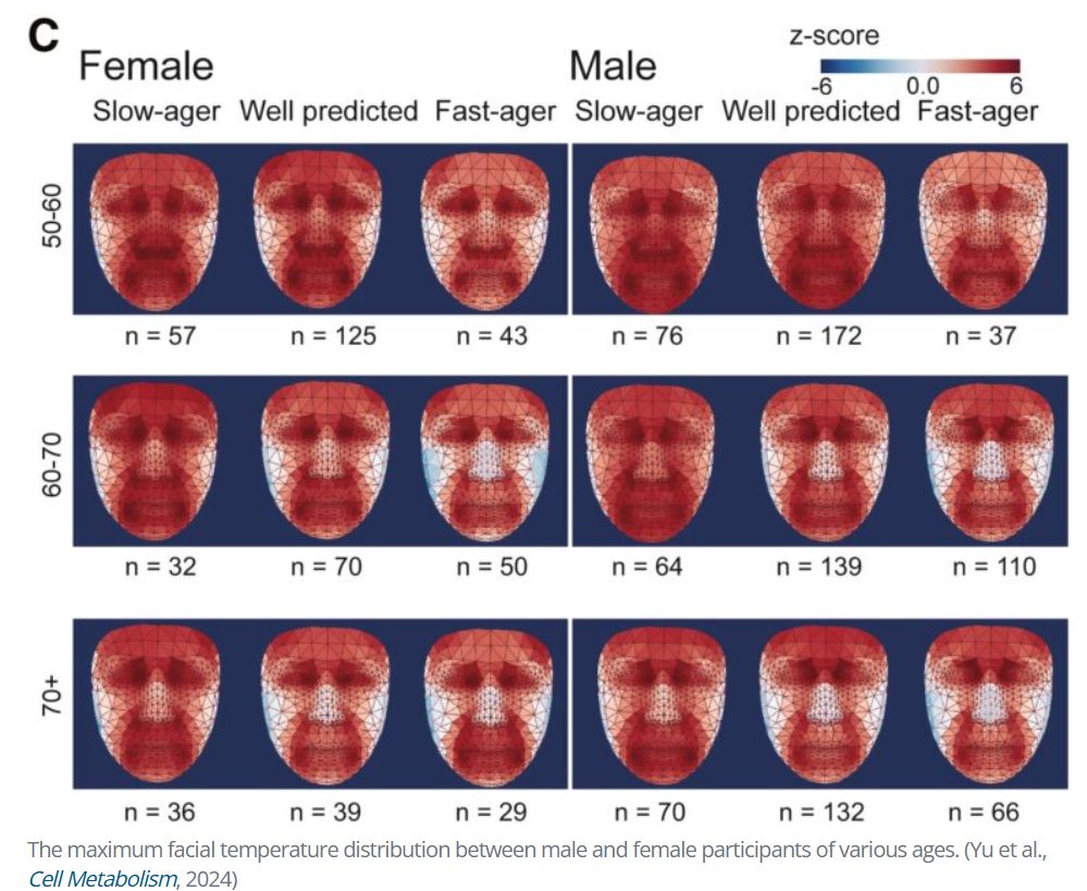 A screenshot of a graph of facial features

Description automatically generated