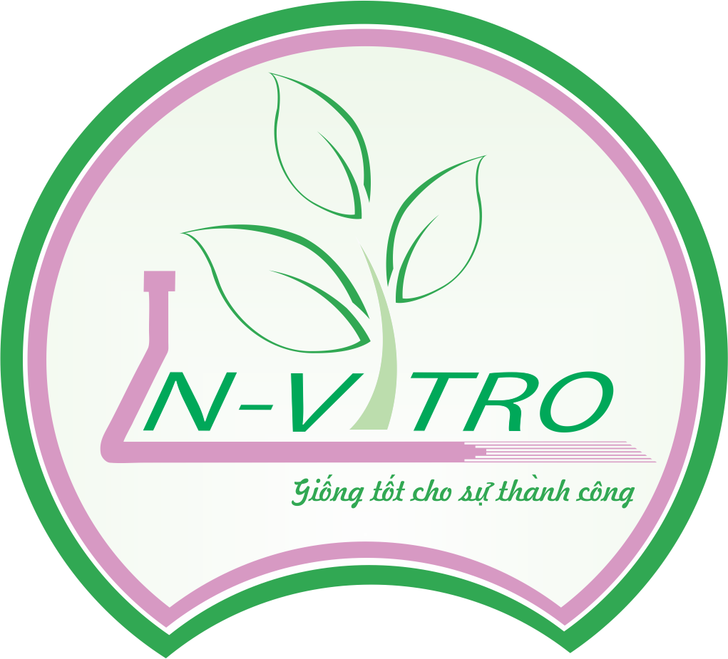 CÔNG TY TNHH SX TM DV GIỐNG CÂY TRỒNG VINA IN-VITRO