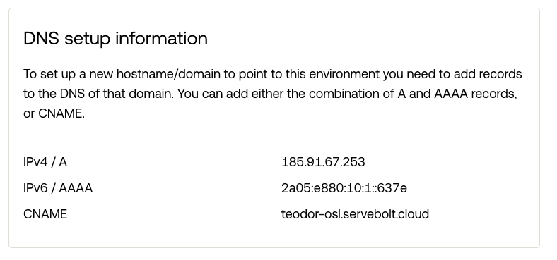 Image from the Servebolt Admin Panel, showcasing information about the "DNS setup information" for an environment