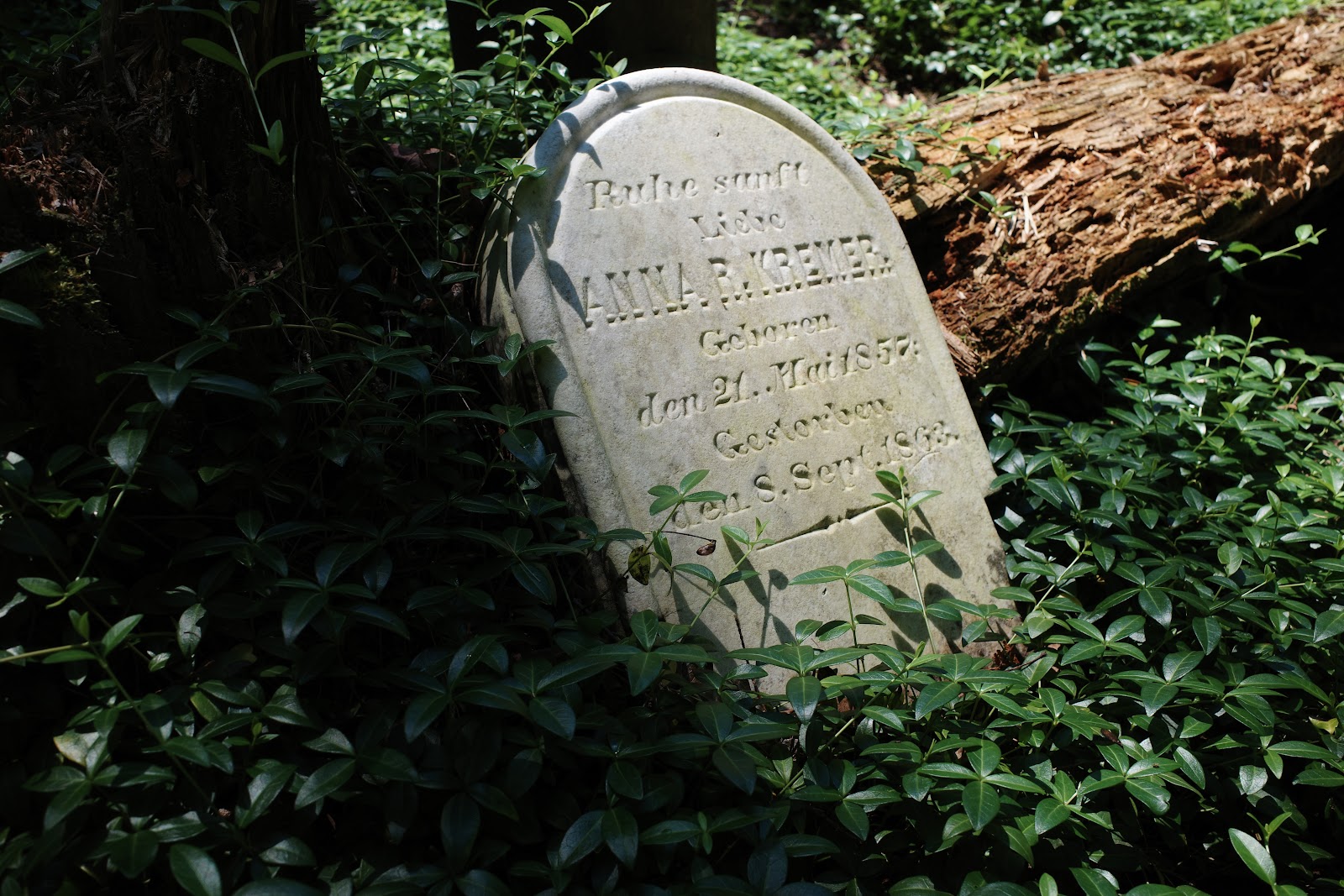 Leaning gravestone for “Anna R. Kremer,” born 1857 died 1863, inscription in German, in forest.