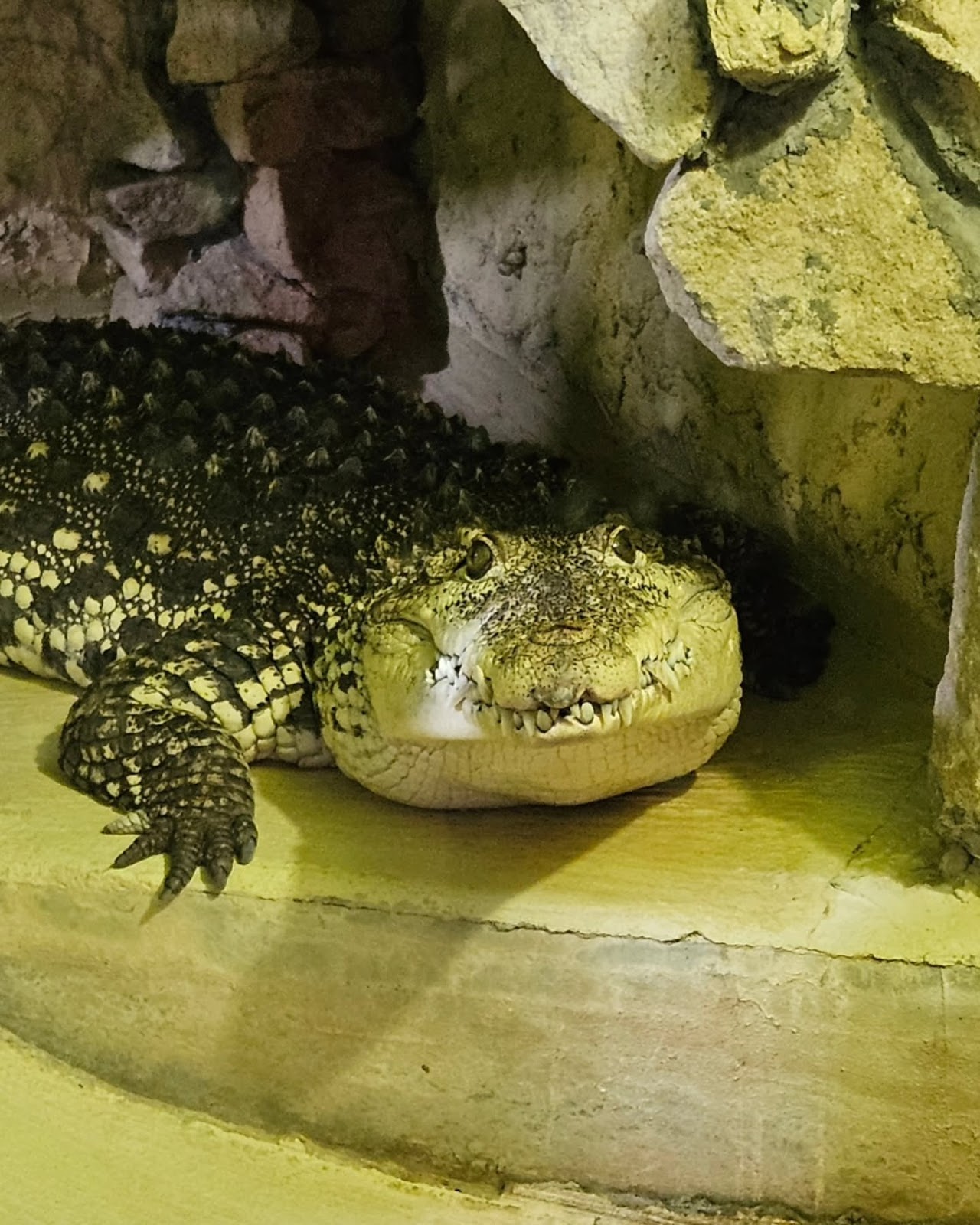 Gdansk Zoo
