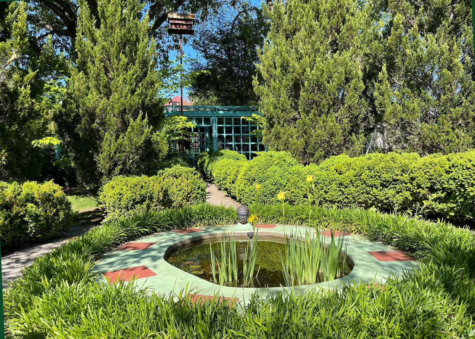 A pond in a gardenAI-generated content may be incorrect.