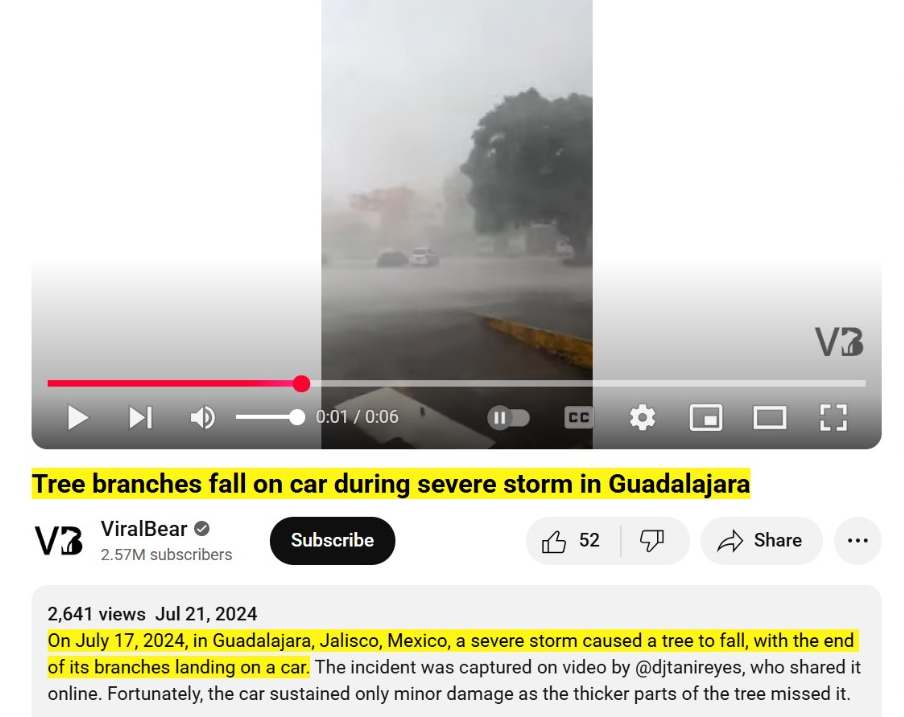 a tree to fall onto a car in Guadalajara, Mexico, on July 17, 2024