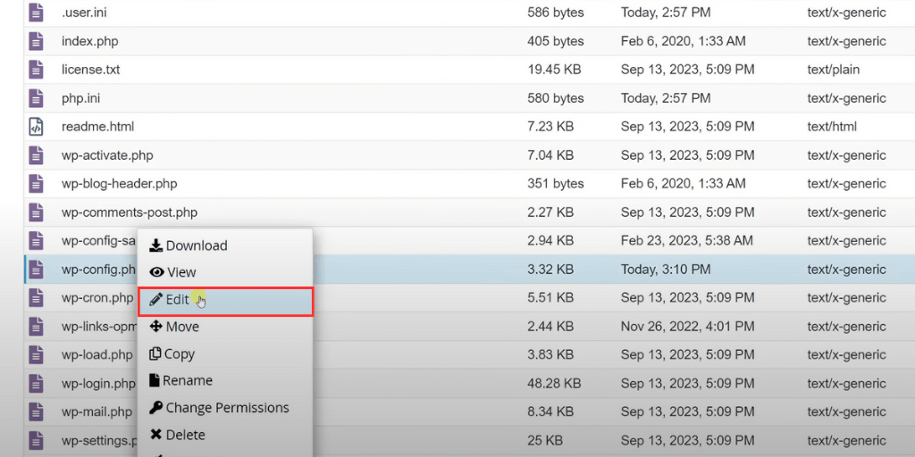wp-config edit cPanel