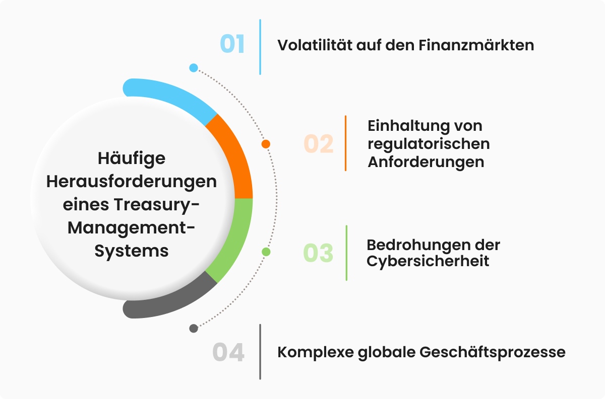 Häufige Herausforderungen eines Treasury Management Systems