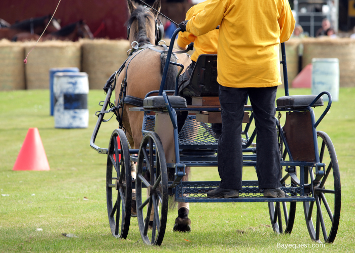 Carriage driving