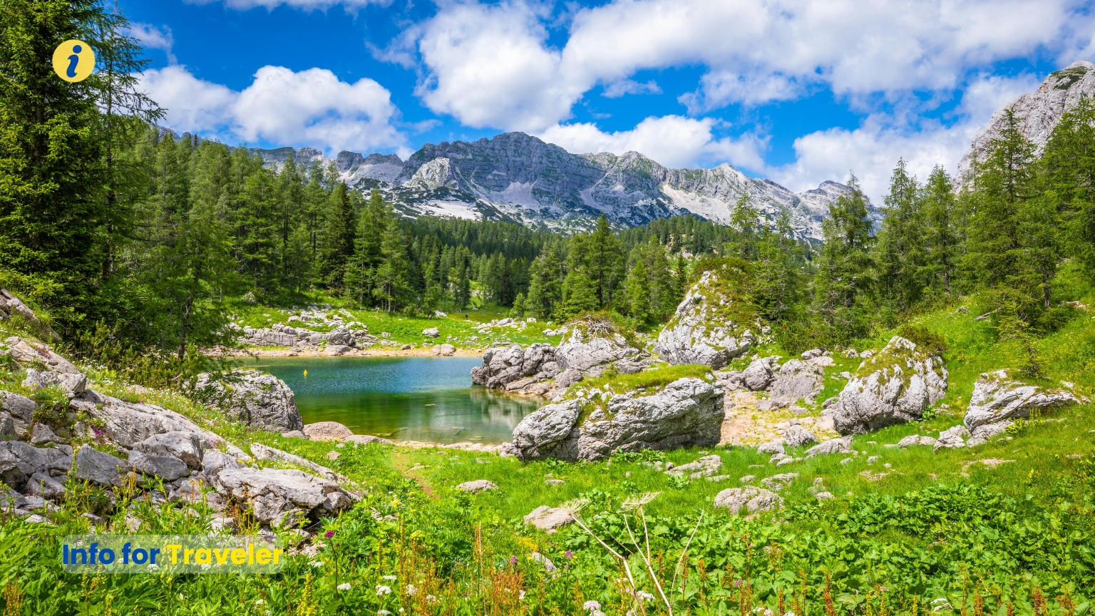 The great looks of Nature in Julian