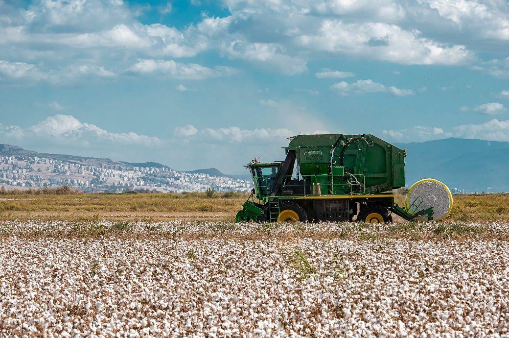 ICE cotton retreats after highs, traders await export report