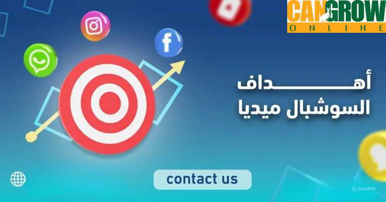أهداف السوشيال ميديا
