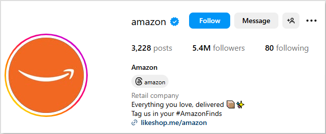 Amazon Instagram bio